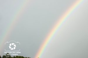 rainbow-1